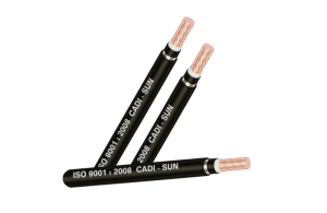 Cáp đồng ngầm 1 lõi DTSA1x