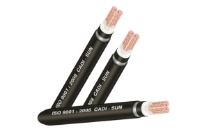 Cáp đồng ngầm 3 lõi DTSA3x