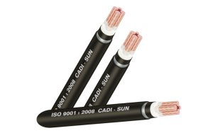 Cáp đồng ngầm 4 lõi DTSA3x+1